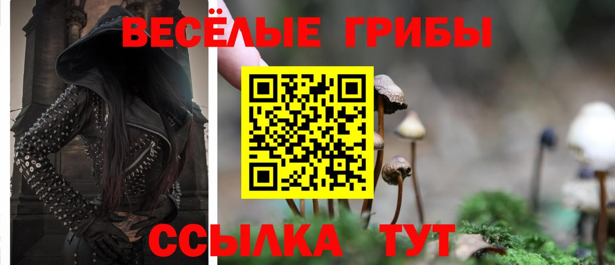 Бирск  Галлюциногенные грибы MAGIC MUSHROOMS  где купить наркотик  Вход с VPN 